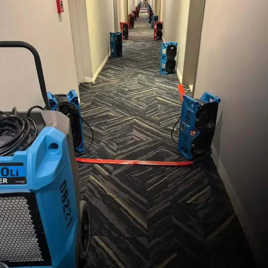 Rows of air movers and a dehumidifier drying a commercial corridor in Queens
